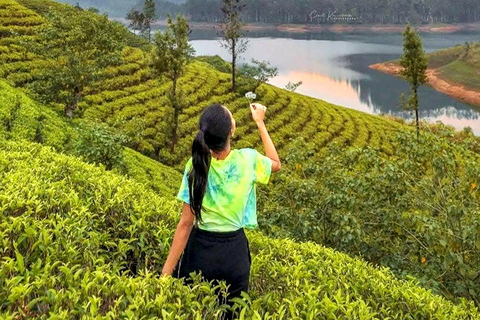 Trip from Kandy to Ambewela Railway Station via Nuwara Eliya Kandy to Nuwara Eliya and Ambewela Drop tour by car or van