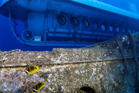 Oahu: tour submarino de aventura submarina de WaikikiOahu: tour submarino premium