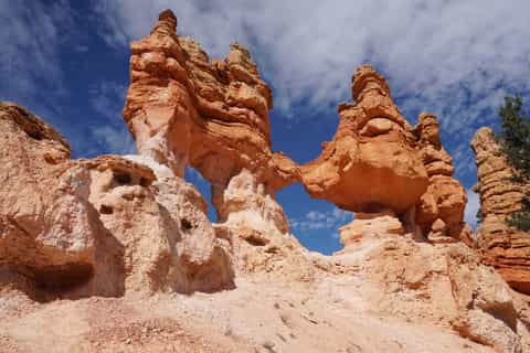 Las Vegas: Bryce and Zion National Park Tour