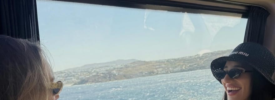 4 heures de visite privée de l'île de Mykonos en minibus de luxe