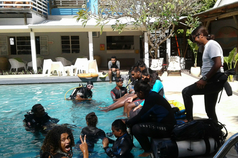 Tamarin Bay: experiencia de buceo para principiantes