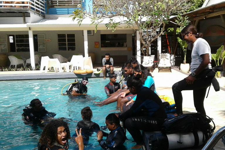 Tamarin Bay: experiencia de buceo para principiantes