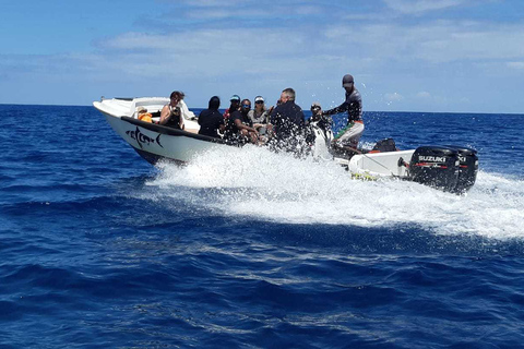 Tamarin Bay: experiencia de buceo para principiantes