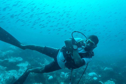 Tamarin Bay: experiencia de buceo para principiantes