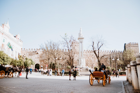 Private Horse-Drawn Carriage Ride in Seville
