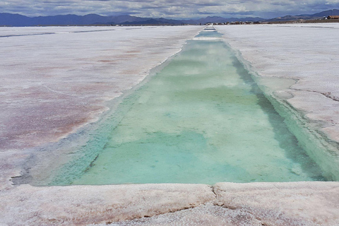 From Jujuy: Salinas Grandes, Purmamarca & Los Colorados Hike