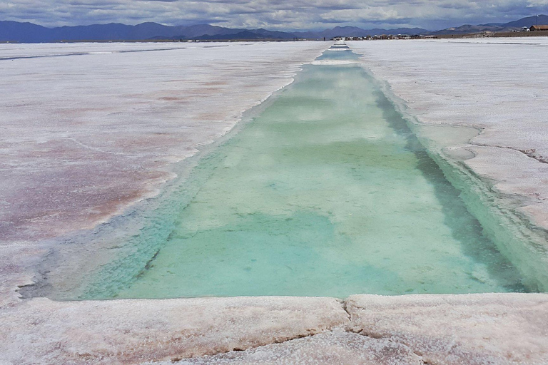 From Jujuy: Salinas Grandes, Purmamarca & Los Colorados Hike