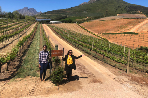 Kaapstad: Kaapse wijnlanden Gedeelde dagtour op hele dagVan Kaapstad: Kaapse wijnlanden, dagtour met gids