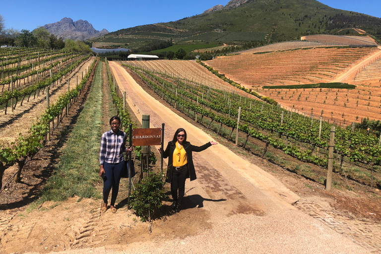 Från Kapstaden: Vinresa till Stellenbosch och Franschhoek