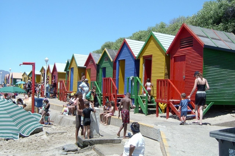 Cape Peninsula: Full-Day Small Group Tour with Penguins Cape Peninsula Full-Day Shared Tour with Penguins
