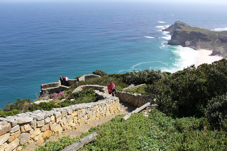 Ingressos para Robben Island, pinguins e excursão privada a Cape Point