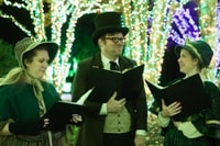 Nashville, Holiday Lights Trolley Tour im Cheekwood Mansion - Hizvo