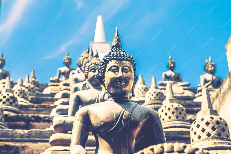 Colombo Religious Harmony Tour: Four Religions Four Cultures