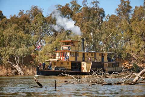 Murray River: Paddle Steamer Cruise with Lunch