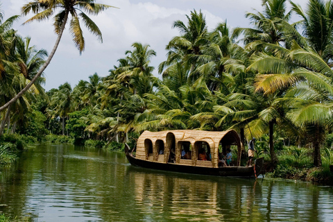 5-Day Kerala Highlights Tour with Overnight Houseboat Stay 3 Star Hotel Accommodation