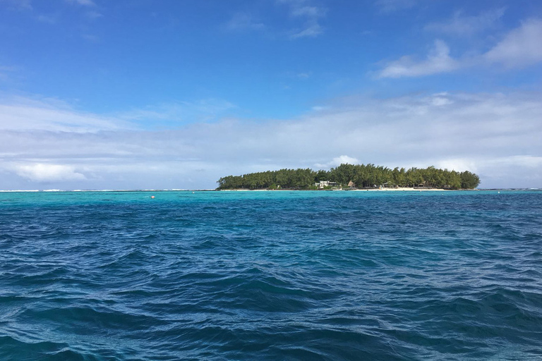 Blue Bay: viaje de snorkel de medio día con almuerzo de picnic criolloBlue Bay: viaje de esnórquel de medio día con almuerzo de picnic criollo