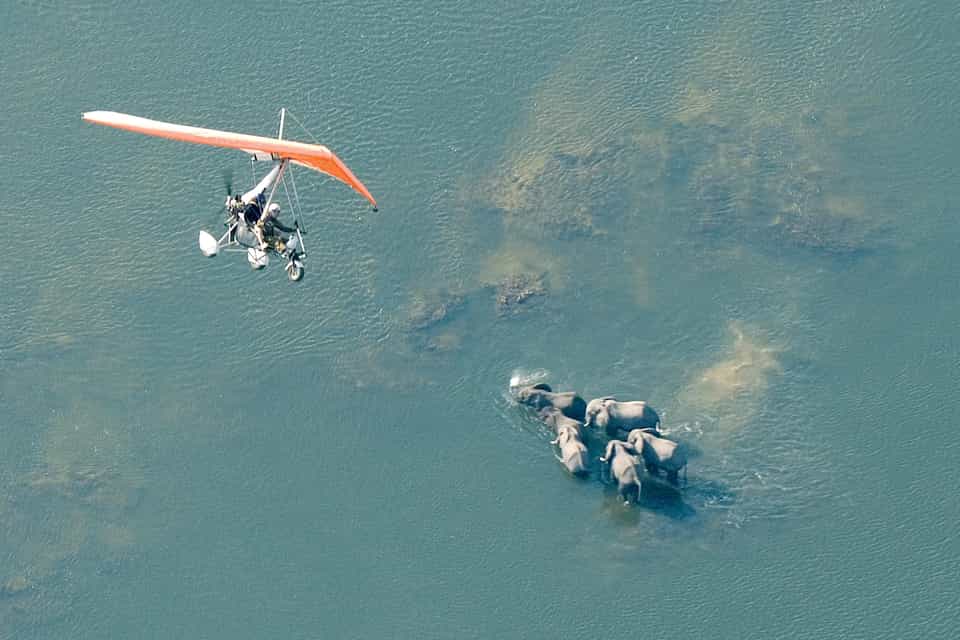 Microlight flight from Batoka Sky, 15 or 30 minutes