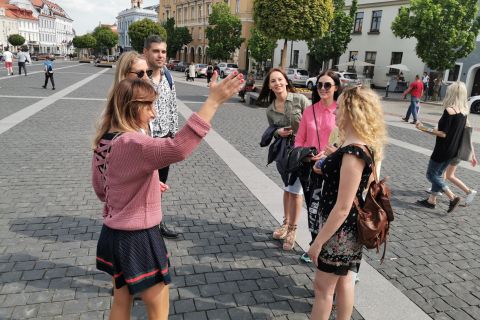 Vilnius: tour a piedi dei punti salienti della città