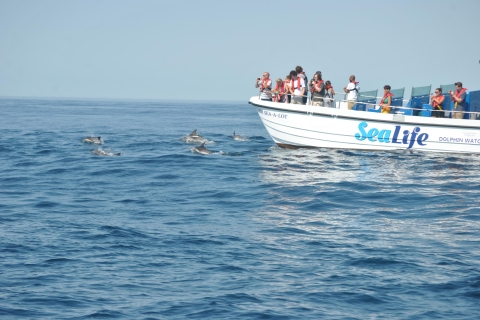 Lagos: Obserwacja delfinów z biologami morskimi