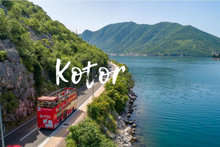Kotor: tour turístico en autobús con paradas libres y tour a pieKotor: autobús turístico con paradas libres y recorrido a pie