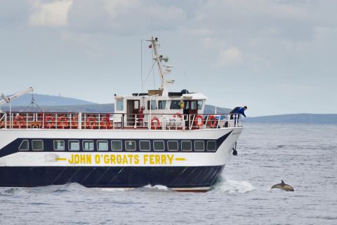 Ab John O'Groats: Wildtierbootsfahrt