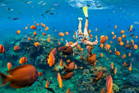 Charlotte Amalie, Snorkeling de Islas Vírgenes y Tour en bote - Housity