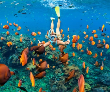 Charlotte Amalie: Snorkling og bådtur på Jomfruøerne