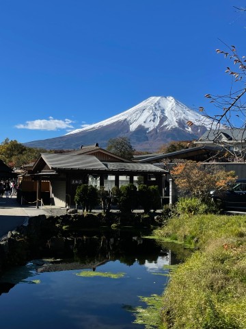 Visit Mt Fuji Private Day Tour with English Speaking Driver in Hakone