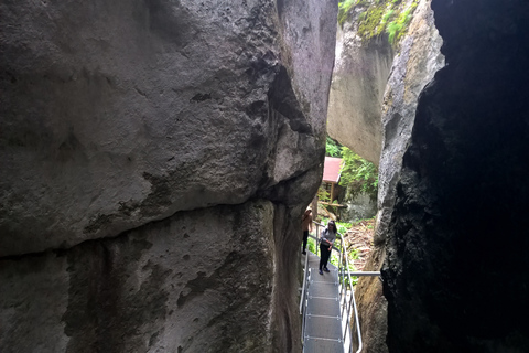 Vanuit Brasov: Dagtrip naar de Zeven Ladders CanyonVan Brasov: dagtocht naar de Seven Ladders Canyon