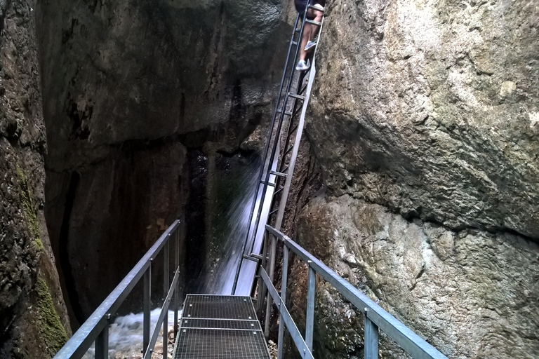 Vanuit Brasov: Dagtrip naar de Zeven Ladders CanyonVan Brasov: dagtocht naar de Seven Ladders Canyon