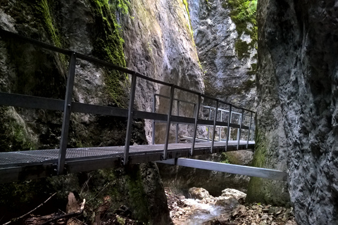Vanuit Brasov: Dagtrip naar de Zeven Ladders CanyonVan Brasov: dagtocht naar de Seven Ladders Canyon