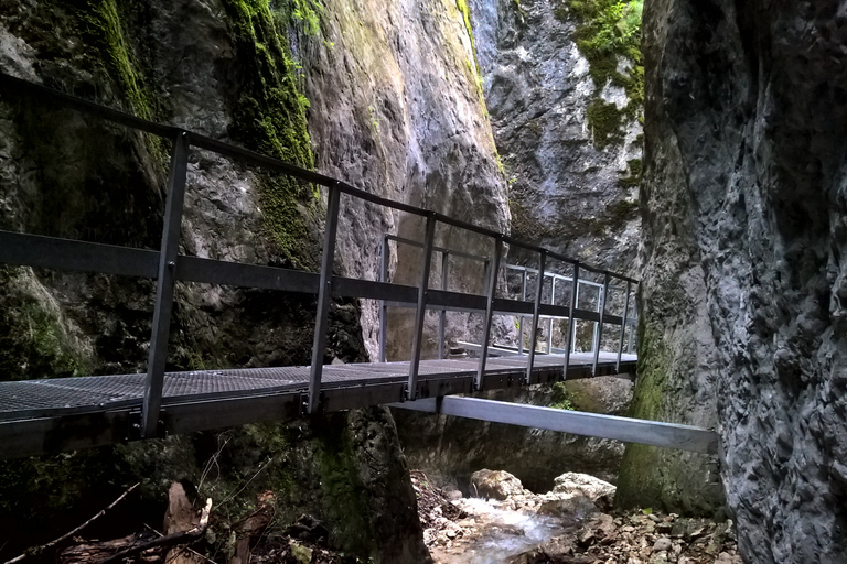 Vanuit Brasov: Dagtrip naar de Zeven Ladders CanyonVan Brasov: dagtocht naar de Seven Ladders Canyon