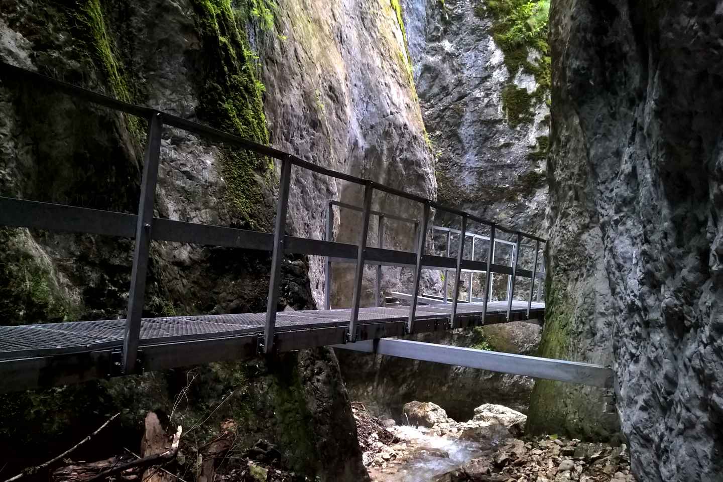 From Brasov: Day Trip to the Seven Ladders Canyon