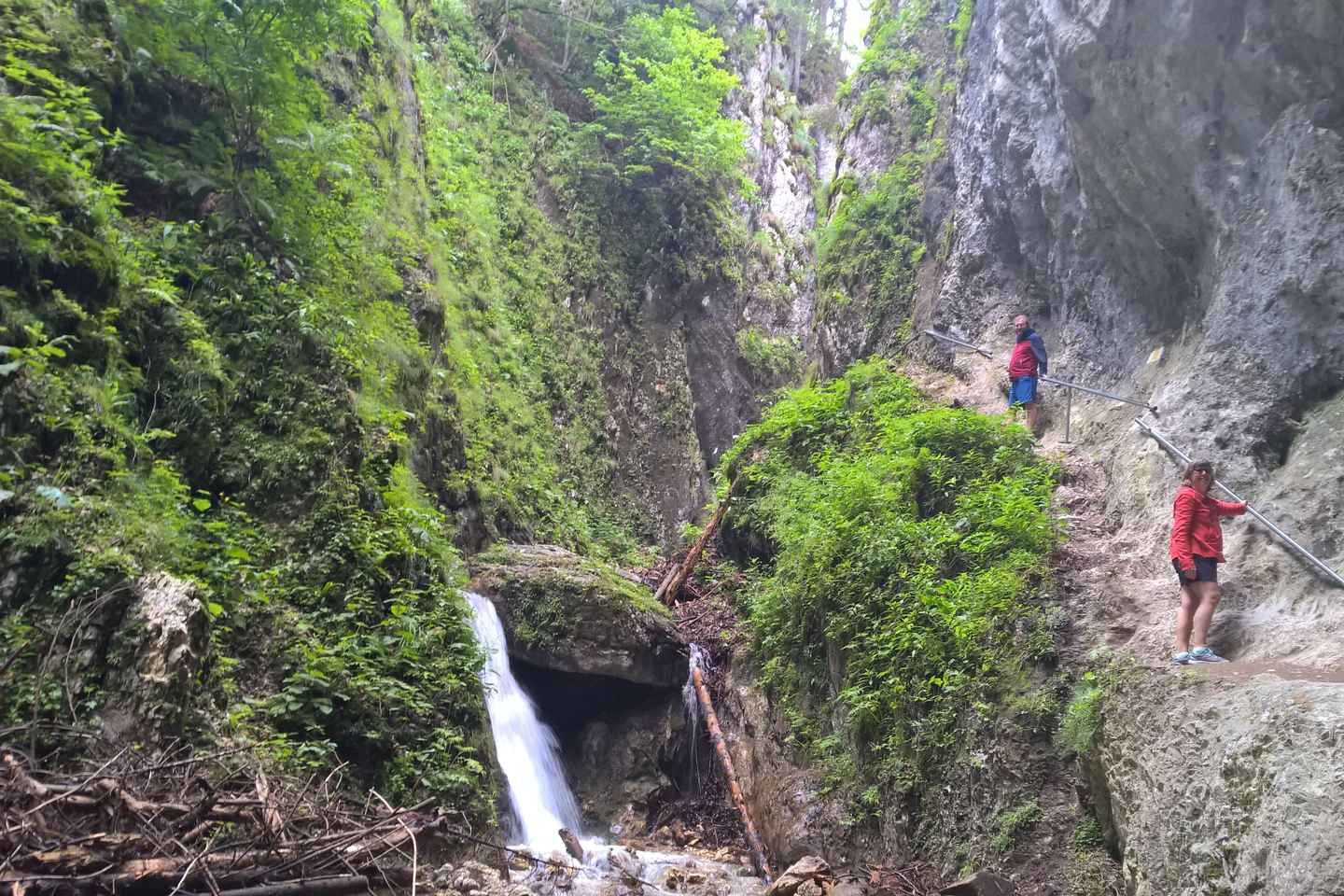 From Brasov: Day Trip to the Seven Ladders Canyon