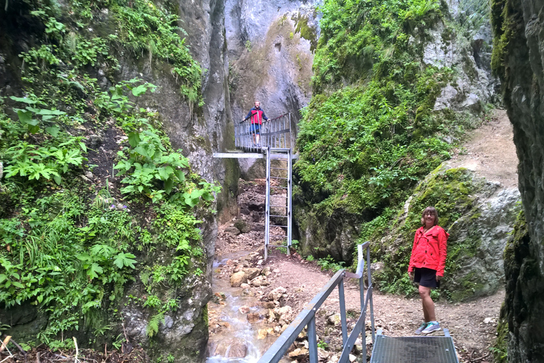 Vanuit Brasov: Dagtrip naar de Zeven Ladders CanyonVan Brasov: dagtocht naar de Seven Ladders Canyon