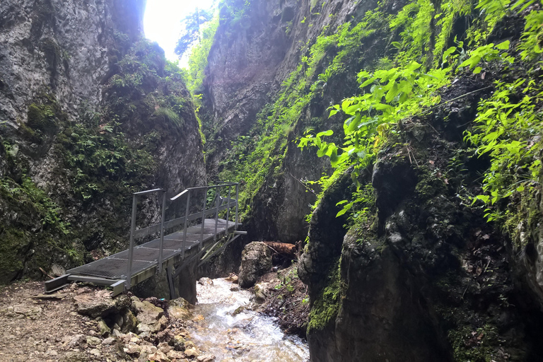 Vanuit Brasov: Dagtrip naar de Zeven Ladders CanyonVan Brasov: dagtocht naar de Seven Ladders Canyon