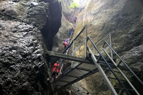 From Brasov: Day Trip to the Seven Ladders Canyon