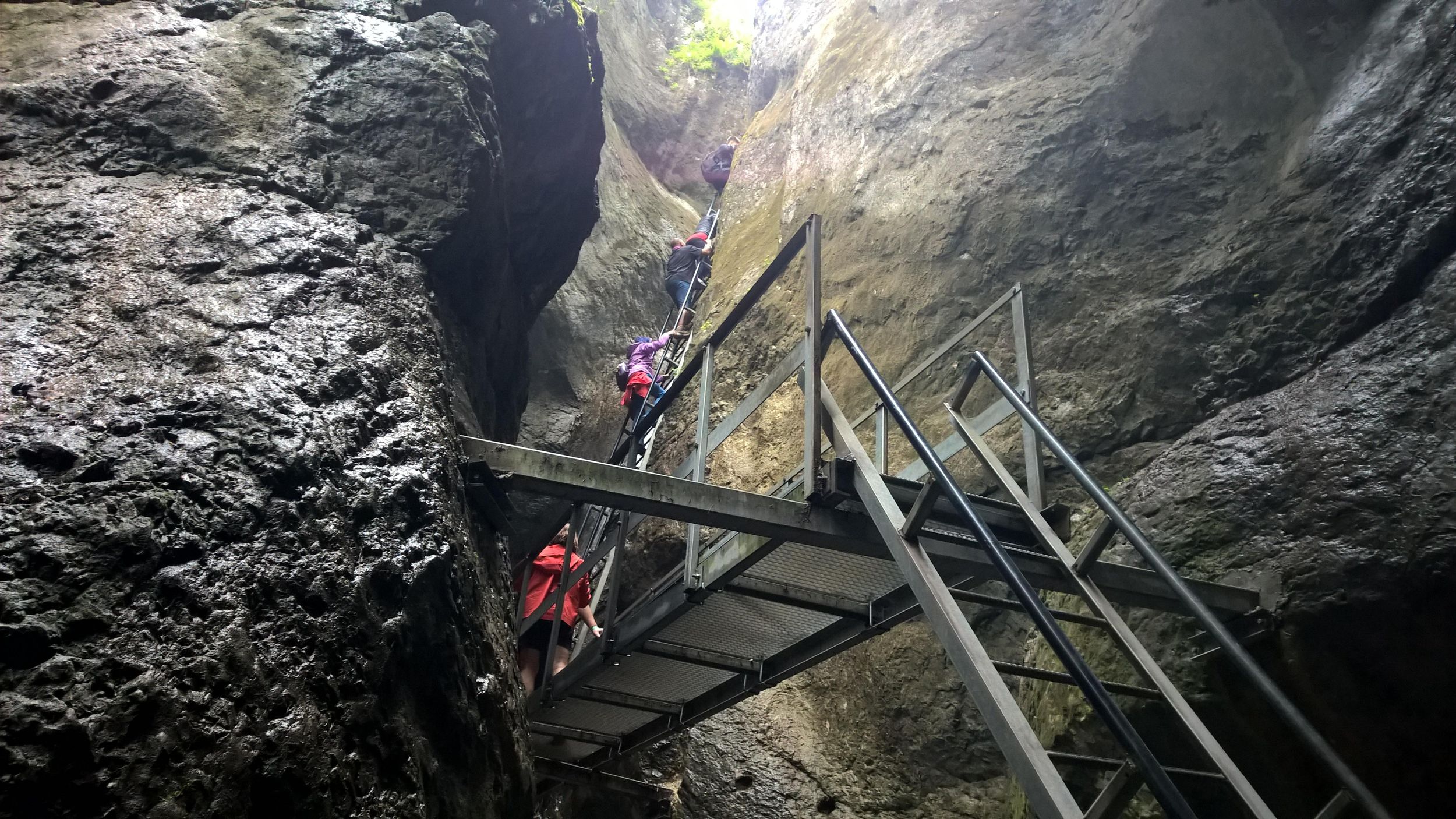 Von Brasov: Tagestour zur Sieben-Leitern-Schlucht