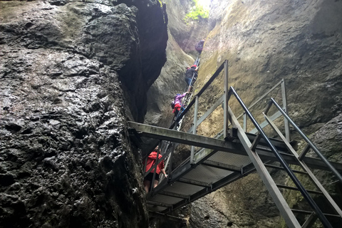 From Brasov: Day Trip to the Seven Ladders Canyon