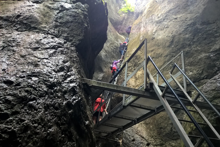 Vanuit Brasov: Dagtrip naar de Zeven Ladders CanyonVan Brasov: dagtocht naar de Seven Ladders Canyon