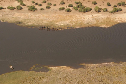 Desde Kasane: Vuelo de safari en helicóptero (Parque Nacional de Chobe)Vuelo de safari en helicóptero por Chobe con servicio de recogida y regreso