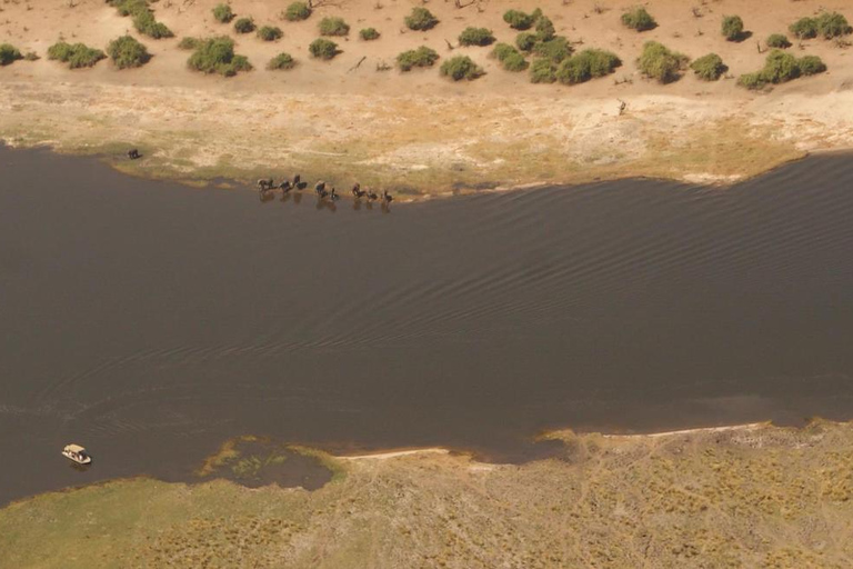 Desde Kasane: Vuelo de safari en helicóptero (Parque Nacional de Chobe)Vuelo de safari en helicóptero por Chobe con servicio de recogida y regreso