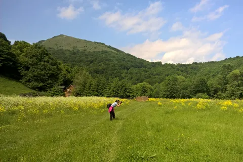 Escursione di un giorno nella Terra delle Grotte Nascoste
