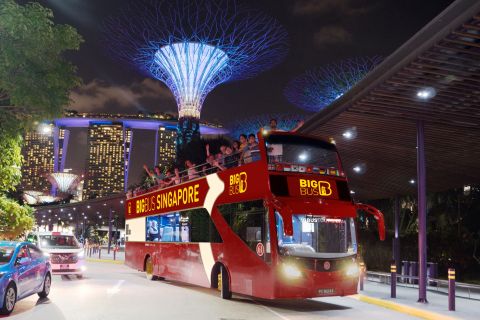 Singapour : visite nocturne entièrement guidée de 3 heures en gros bus