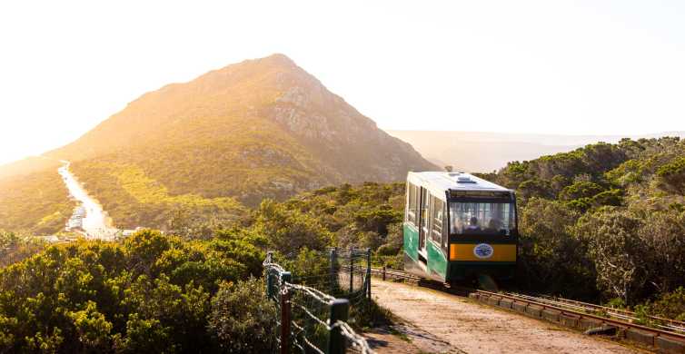 Cape Town: Bilet pentru Cape Point Funicular