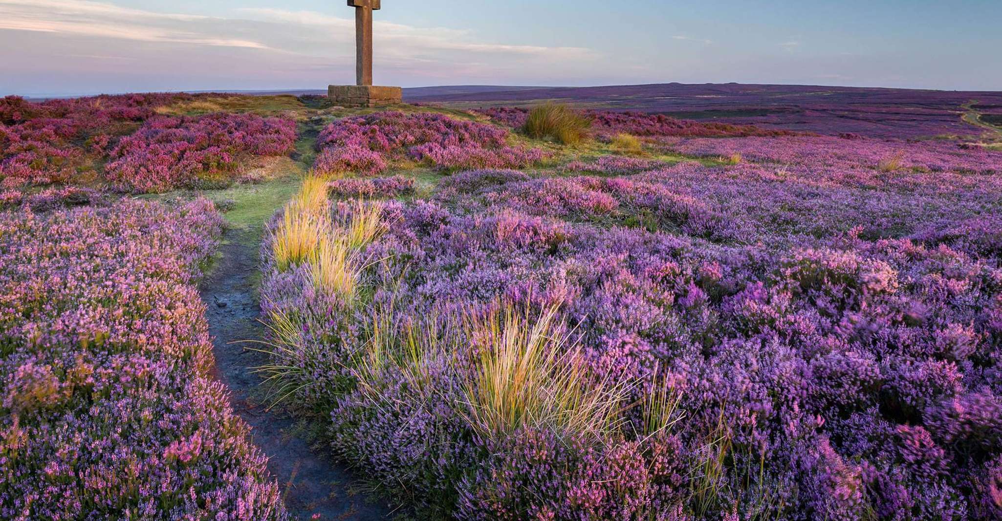 从纽约、日间旅行到惠特比和北纽约摩尔人 - Hizvo