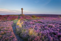 Von York, Tagesausflug nach Whitby und den North York Moors - Hizvo
