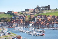 Von York, Tagesausflug nach Whitby und den North York Moors - Hizvo