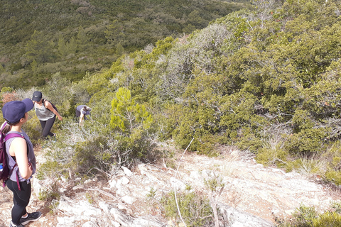 Desde Sesimbra: tour de senderismo por la montaña de Arrábida