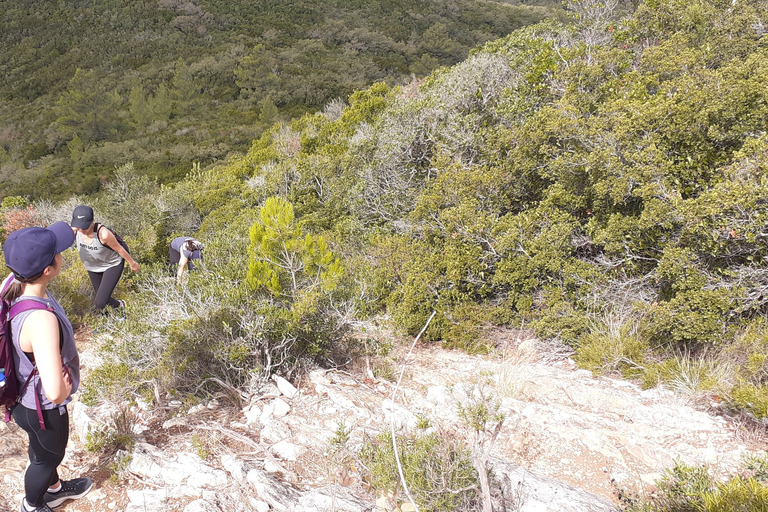 From Sesimbra: Hiking Tour of Arrábida Mountain